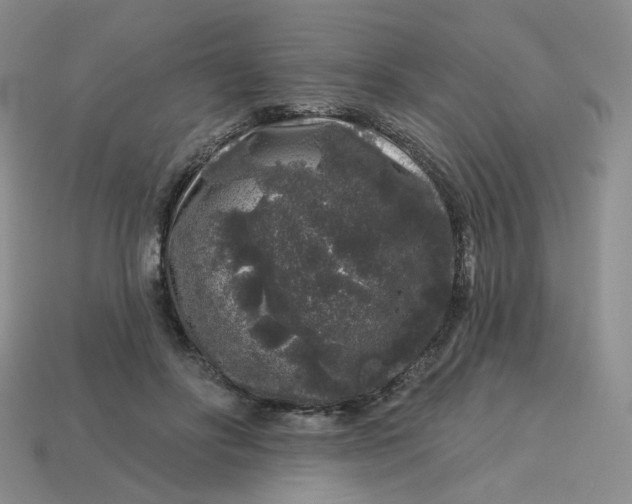 X0000113580502200910161543