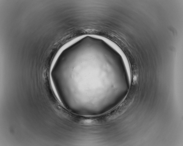 X0000113580503200910161543