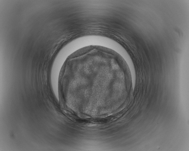 X0000113580504200910161543