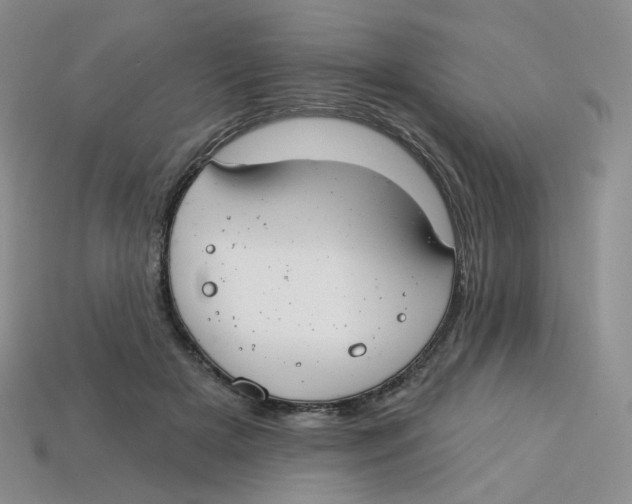 X0000113580505200910161543