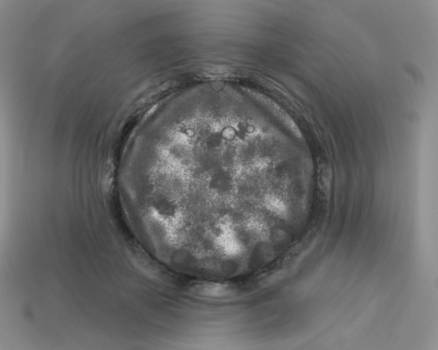 X0000113580507200910161543