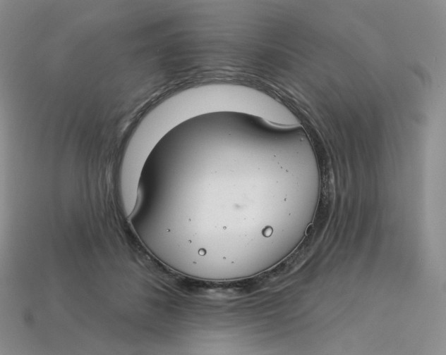 X0000113580508200910161543