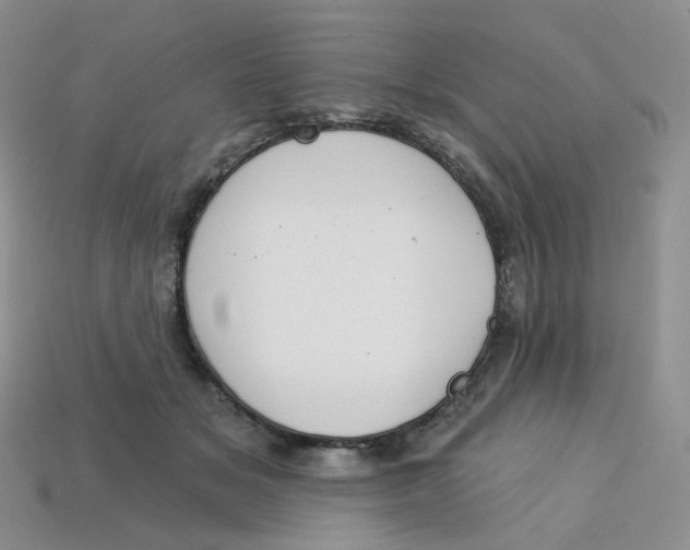 X0000113580509200910161543