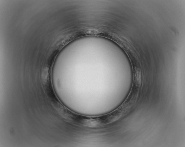 X0000113580511200910161543