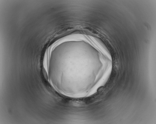 X0000113580512200910161543