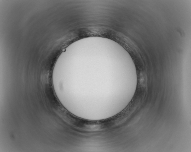 X0000113580514200910161543