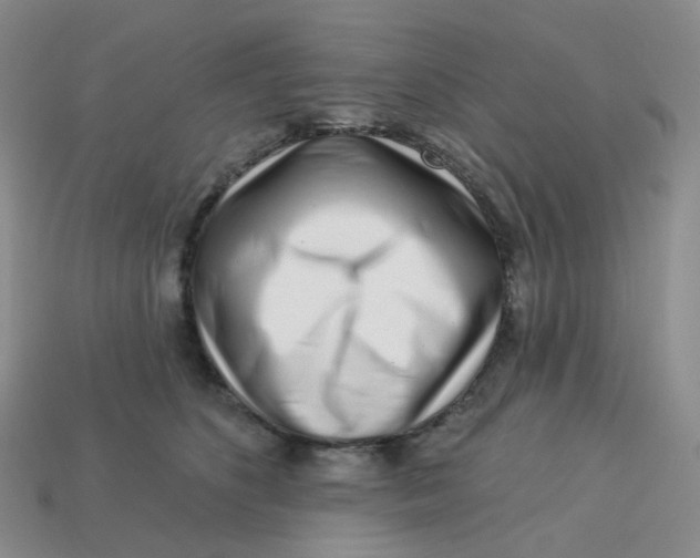 X0000113580516200910161543