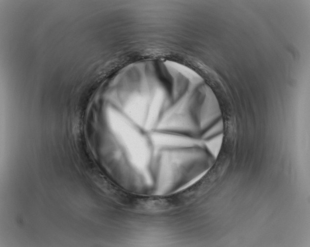 X0000113580517200910161543