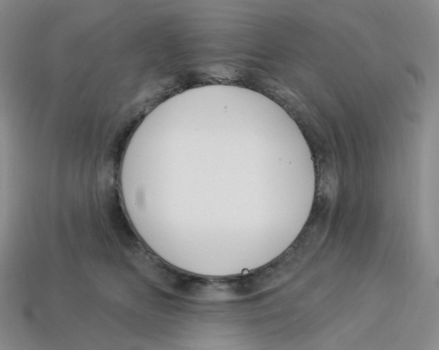 X0000113580518200910161543