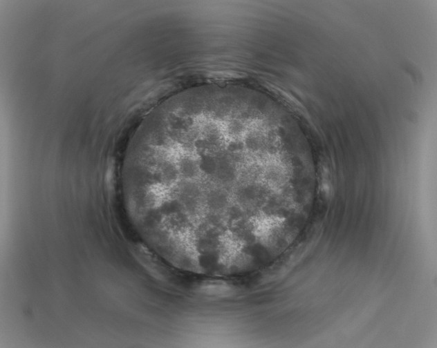 X0000113580519200910161543