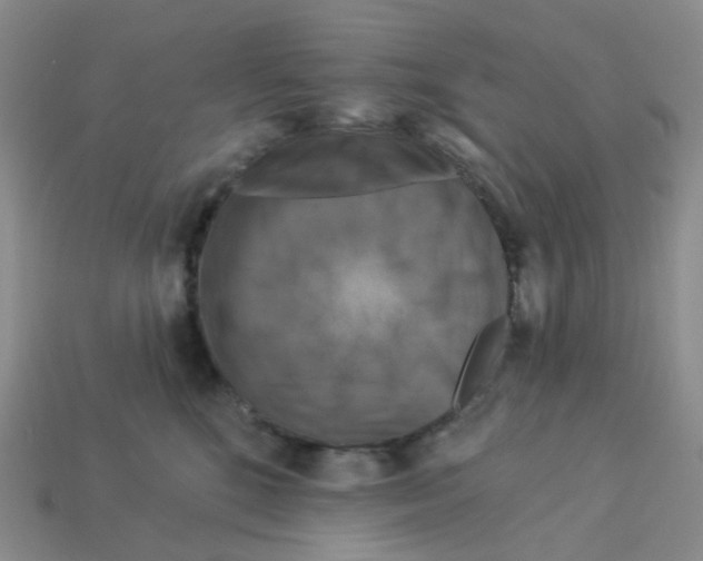 X0000113580520200910161543