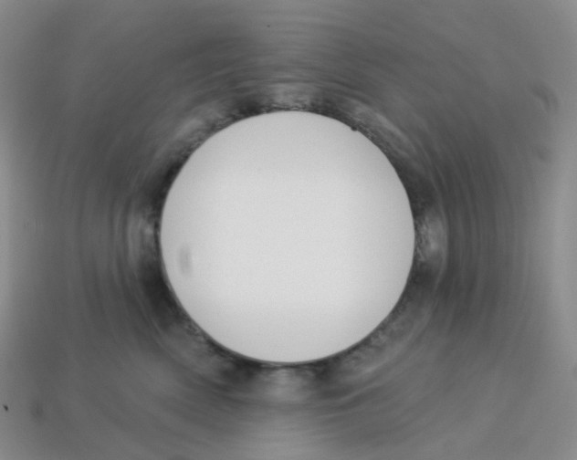 X0000113580522200910161543