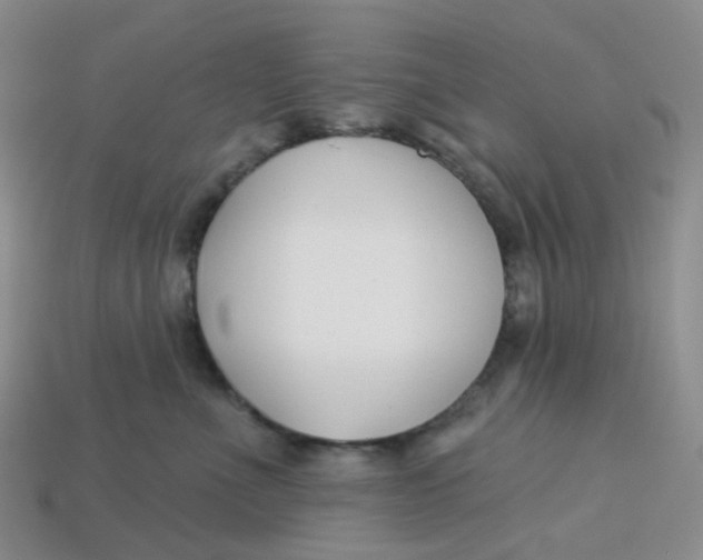 X0000113580523200910161543