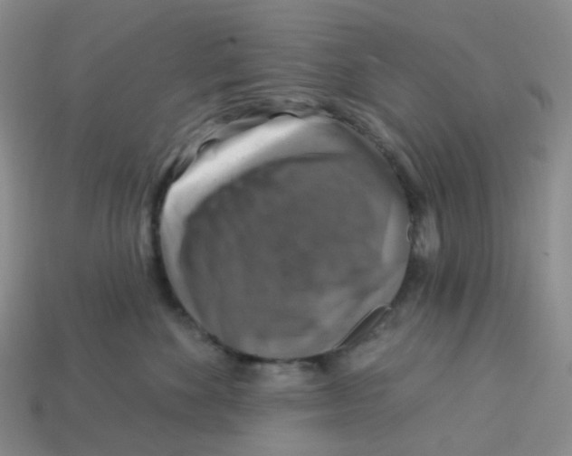 X0000113580524200910161543