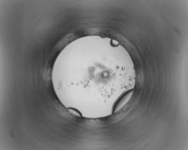 X0000113580525200910161543