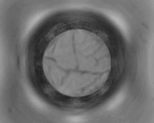 X0000113580526200910161543