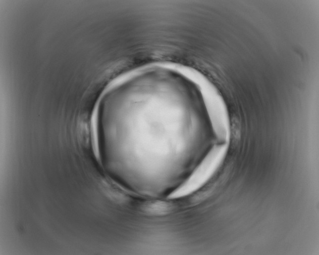 X0000113580527200910161543