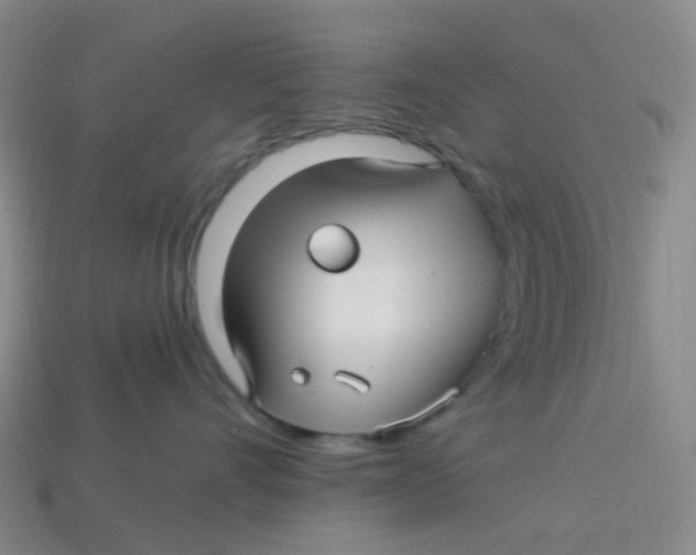 X0000113580528200910161542