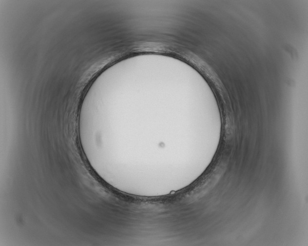 X0000113580529200910161542