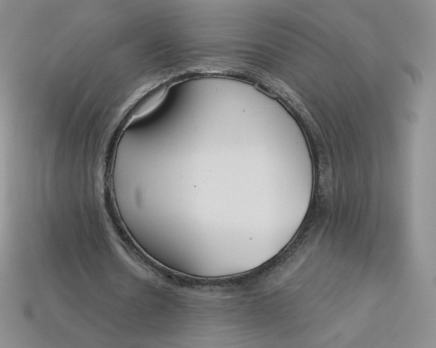 X0000113580530200910161542