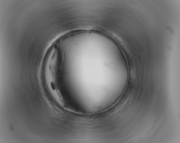 X0000113580532200910161542