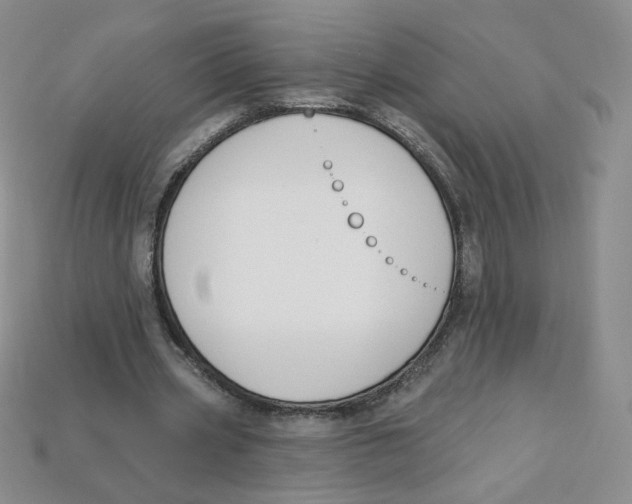 X0000113580533200910161542