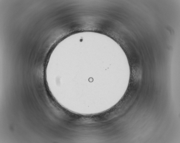 X0000113580534200910161542