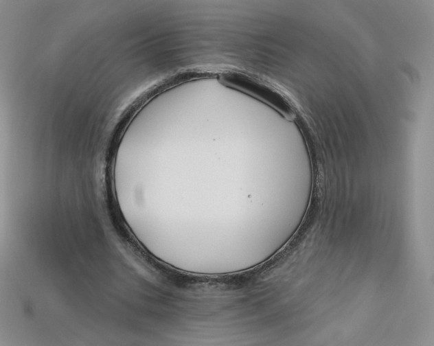 X0000113580535200910161542