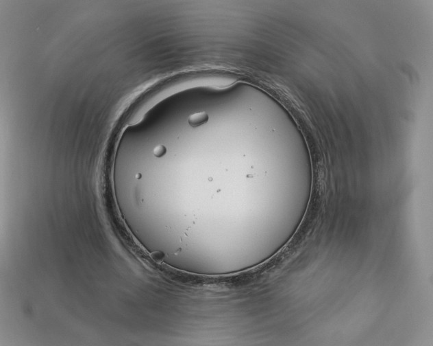 X0000113580536200910161542