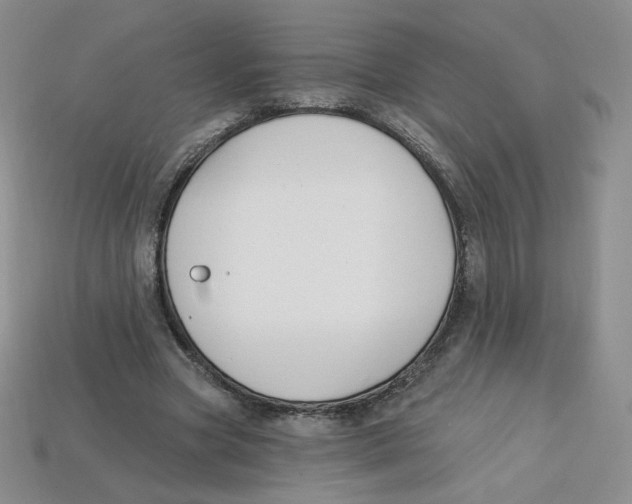 X0000113580537200910161542