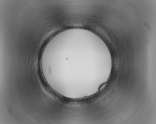 X0000113580538200910161542