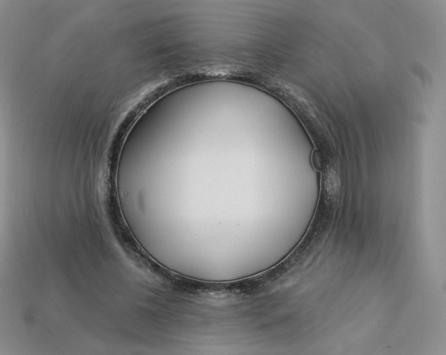 X0000113580540200910161542