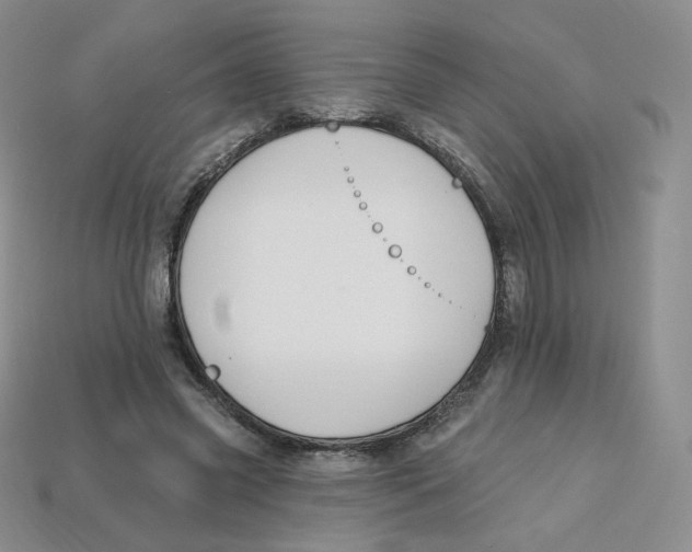 X0000113580541200910161542