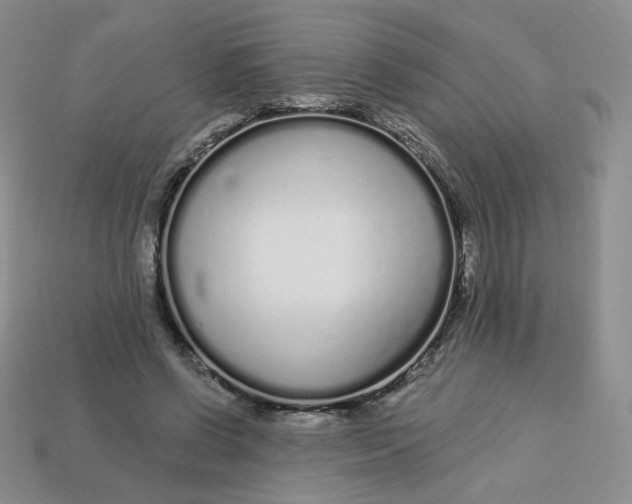 X0000113580542200910161542