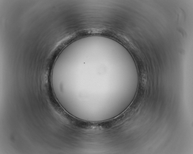 X0000113580543200910161542