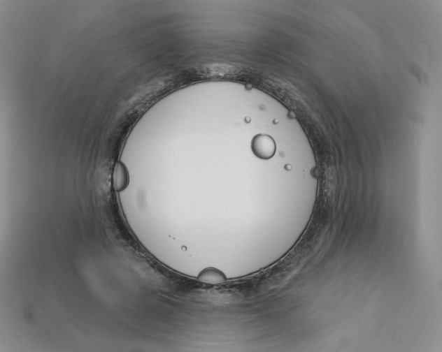 X0000113580545200910161542