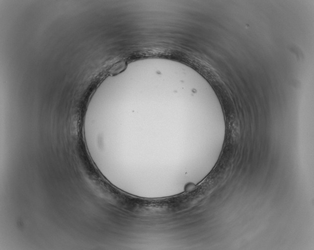 X0000113580546200910161542