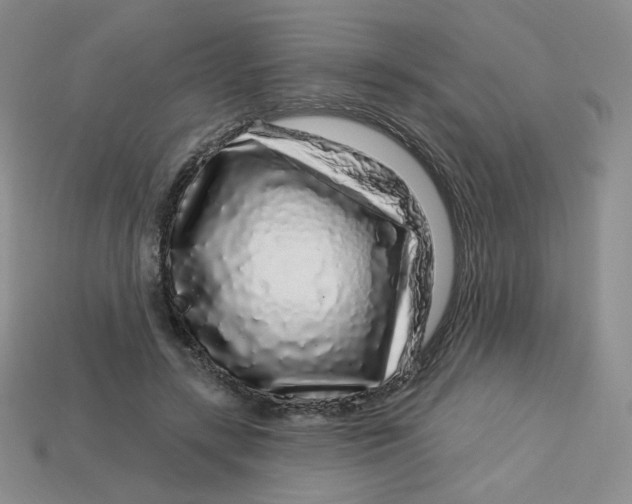 X0000113580547200910161542