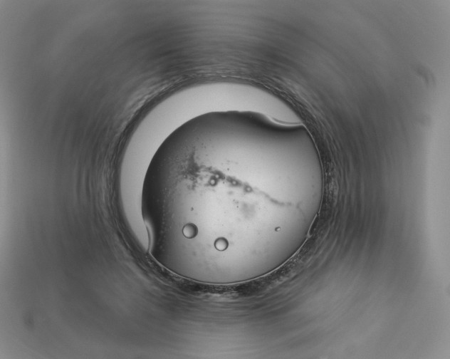 X0000113580548200910161542