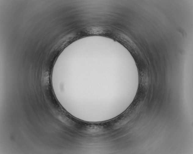 X0000113580549200910161542