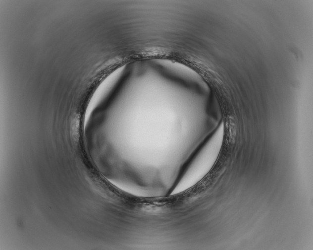 X0000113580550200910161542