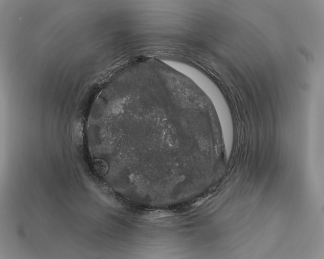 X0000113580551200910161542