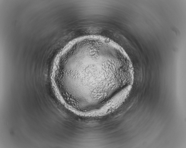 X0000113580553200910161542