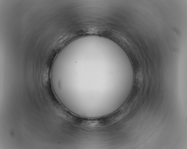 X0000113580554200910161542