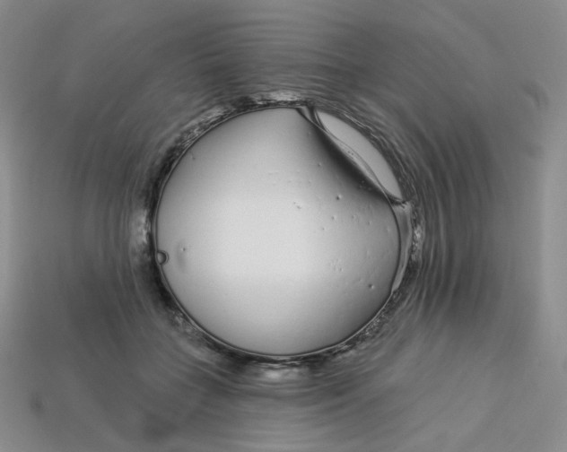 X0000113580555200910161542