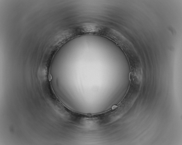 X0000113580556200910161542