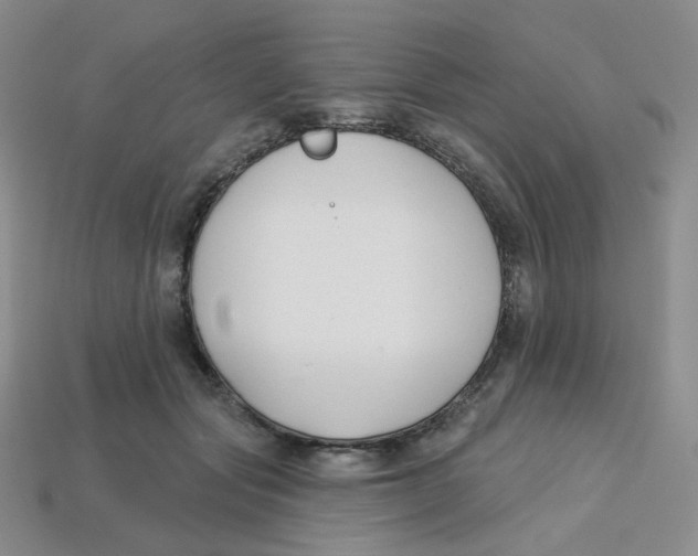 X0000113580557200910161542