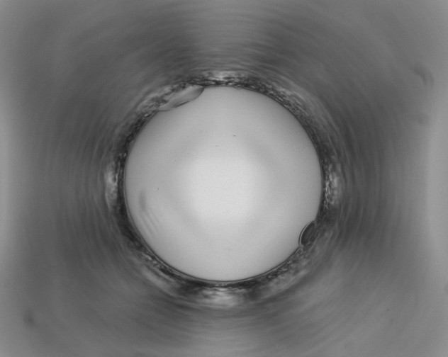 X0000113580558200910161542