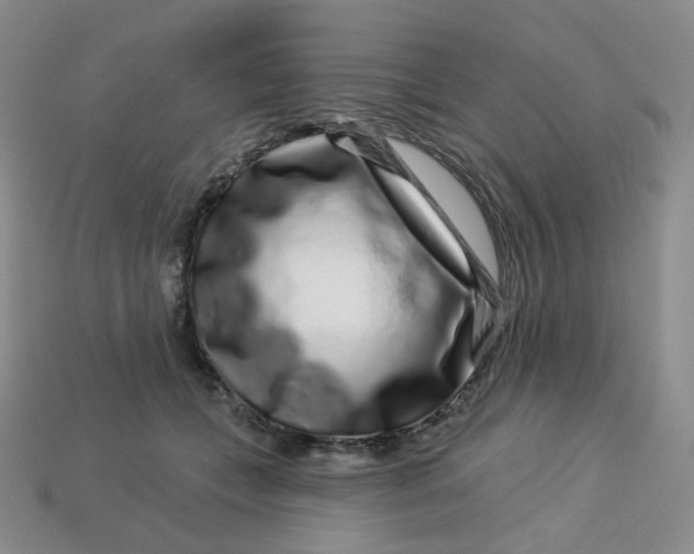 X0000113580559200910161542