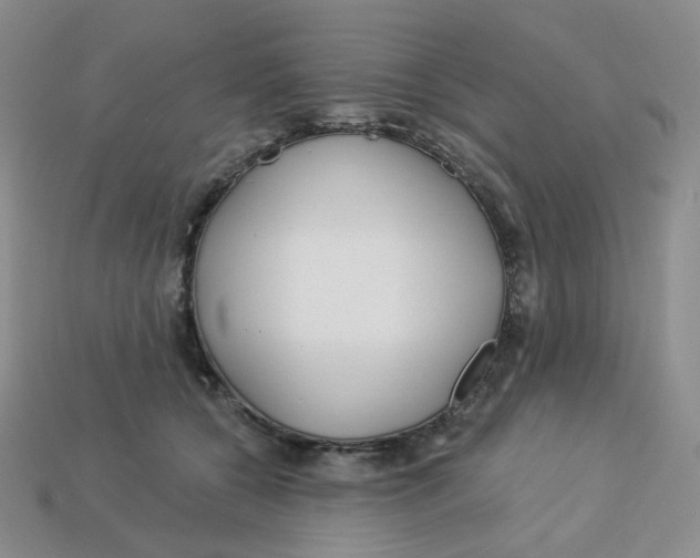 X0000113580560200910161542